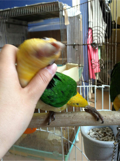 20130517_8.jpg