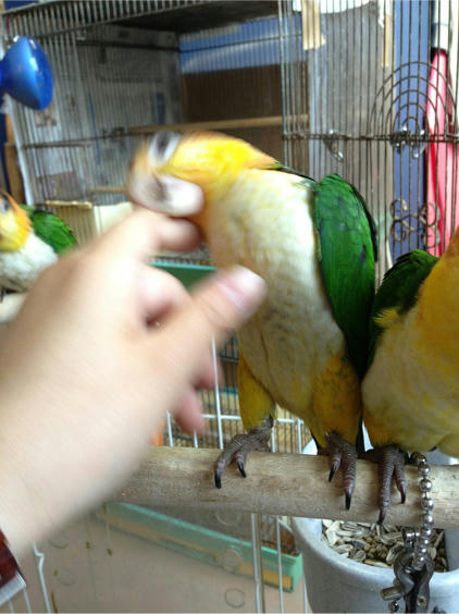 20130517_9.jpg