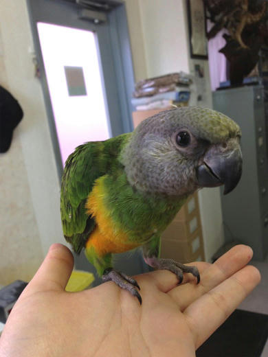 20130517_12.jpg