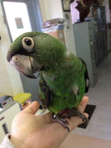 20130517_16.jpg