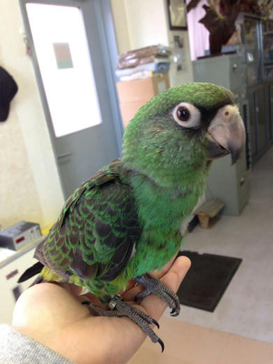 20130517_17.jpg