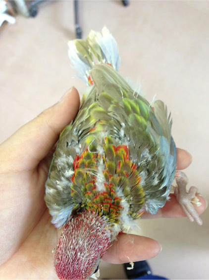 20130521_3.jpg