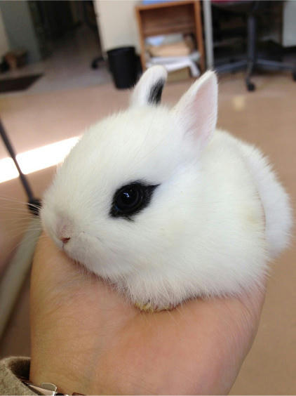 20130521_9.jpg