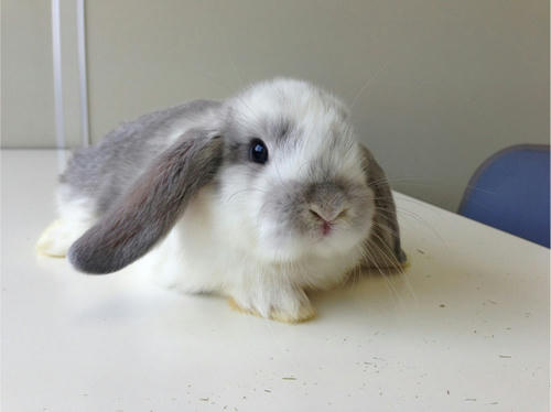 20130522_7.jpg