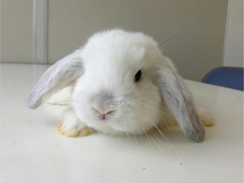 20130522_10.jpg