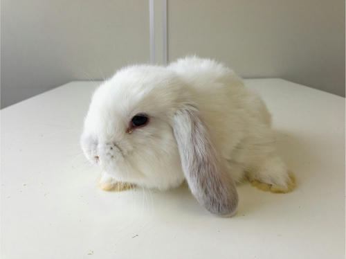 20130522_11.jpg