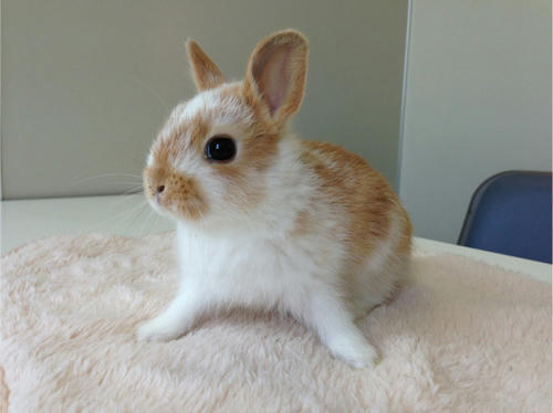 20130522_19.jpg