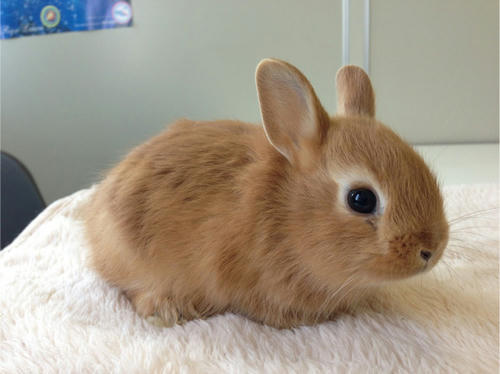 20130522_22.jpg