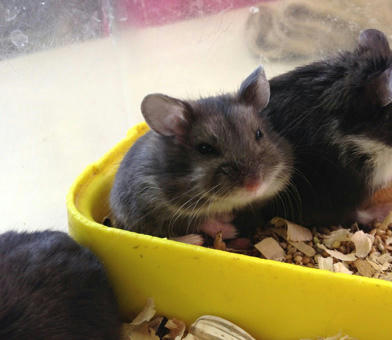 20130524_9.jpg