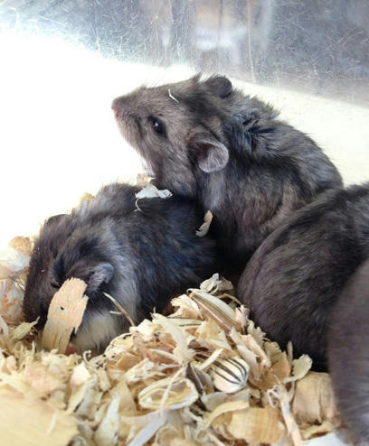 20130524_10.jpg