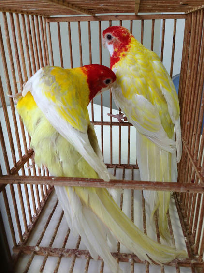 20130525_9.jpg
