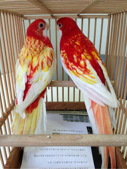 20130525_10.jpg