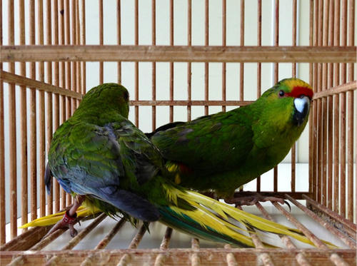 20130525_12.jpg