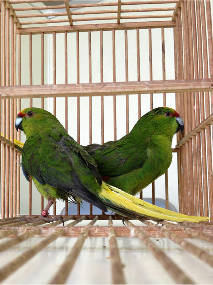 20130525_14.jpg