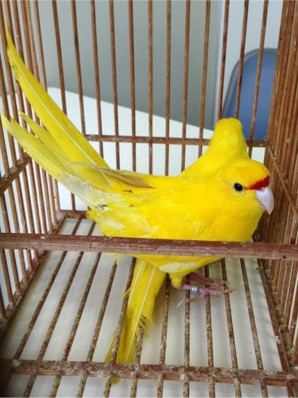 20130525_18.jpg