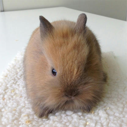 20130528_12.jpg