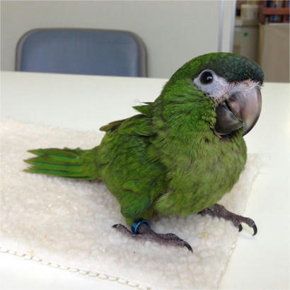20130530_2.jpg
