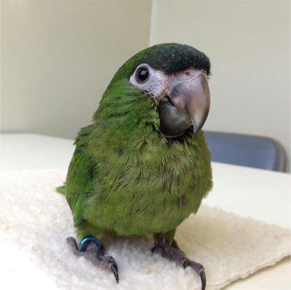 20130530_3.jpg