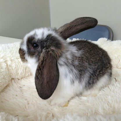 20130601_11.jpg