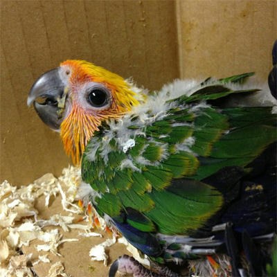 20130618_2.jpg