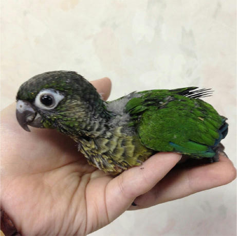 20130618_5.jpg