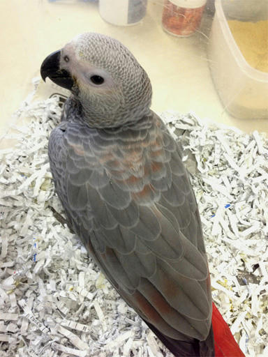 20130620_2.jpg