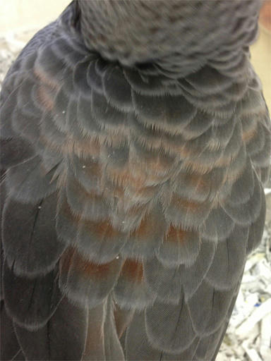 20130620_3.jpg