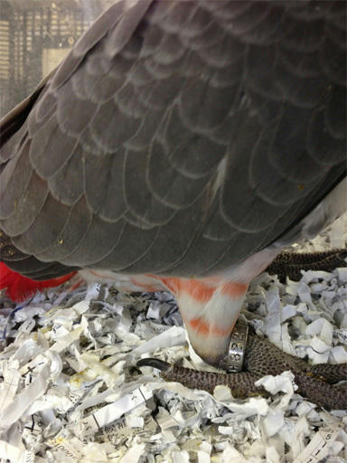20130620_5.jpg