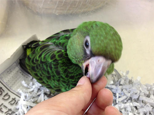20130620_7.jpg