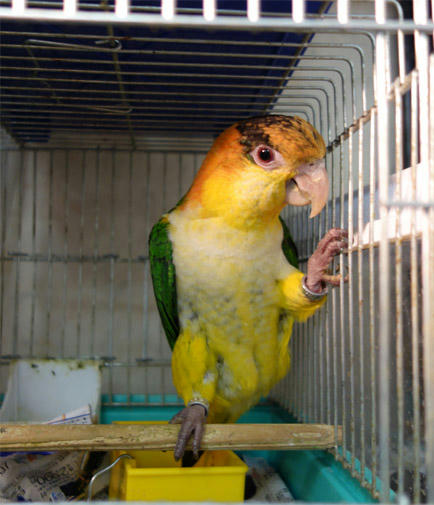 20130730_1.jpg