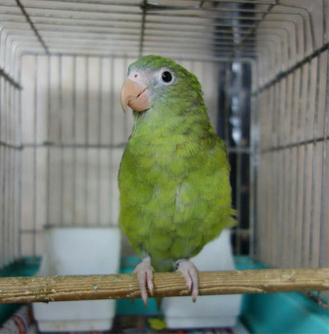 20130730_3.jpg