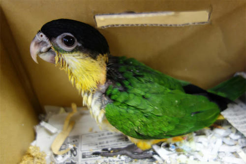 20130730_5.jpg