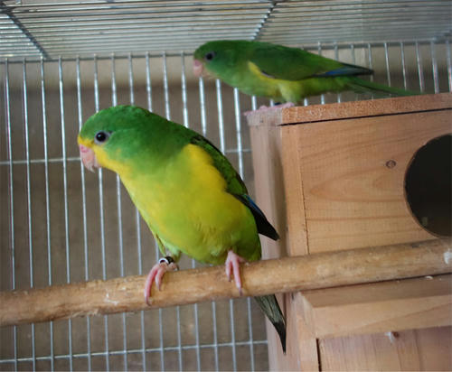 20130805_1.jpg