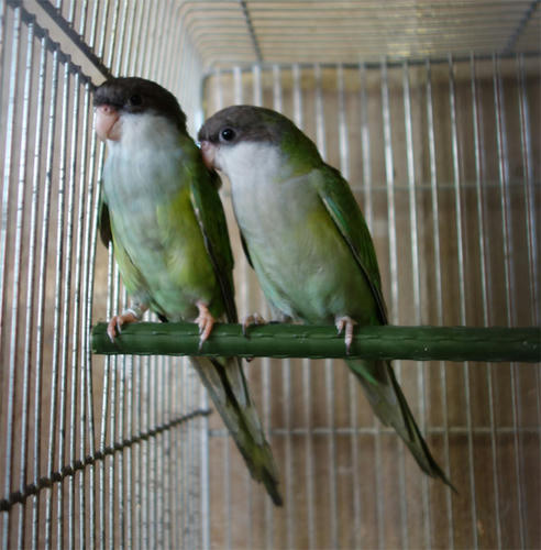 20130805_2.jpg
