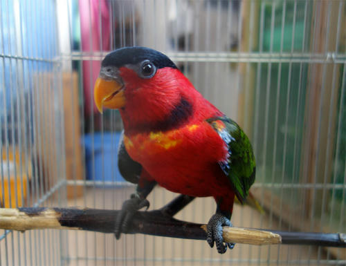 20130805_3.jpg