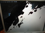 DSCN4712.JPG