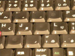 DSCN7815.JPG