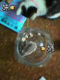 ham&nyan