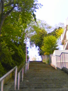 view7