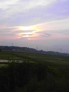 view8