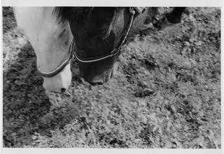 b&amp;amp;w.8