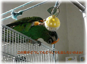 70626-fill.JPG