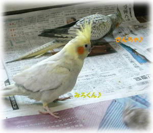70627-miro.JPG