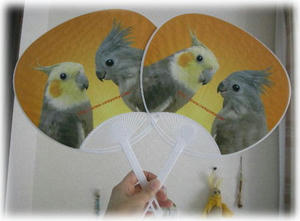 70722-uchiwa.JPG