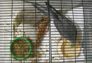 70925-fuhori.JPG