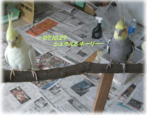 71027-kuruhori.JPG