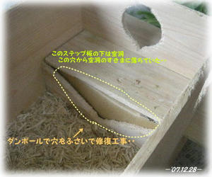 71228-subako.JPG