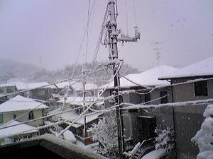 80213-yuki3.jpg