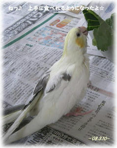 80310-riru2.JPG
