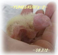 80312-yk2.JPG